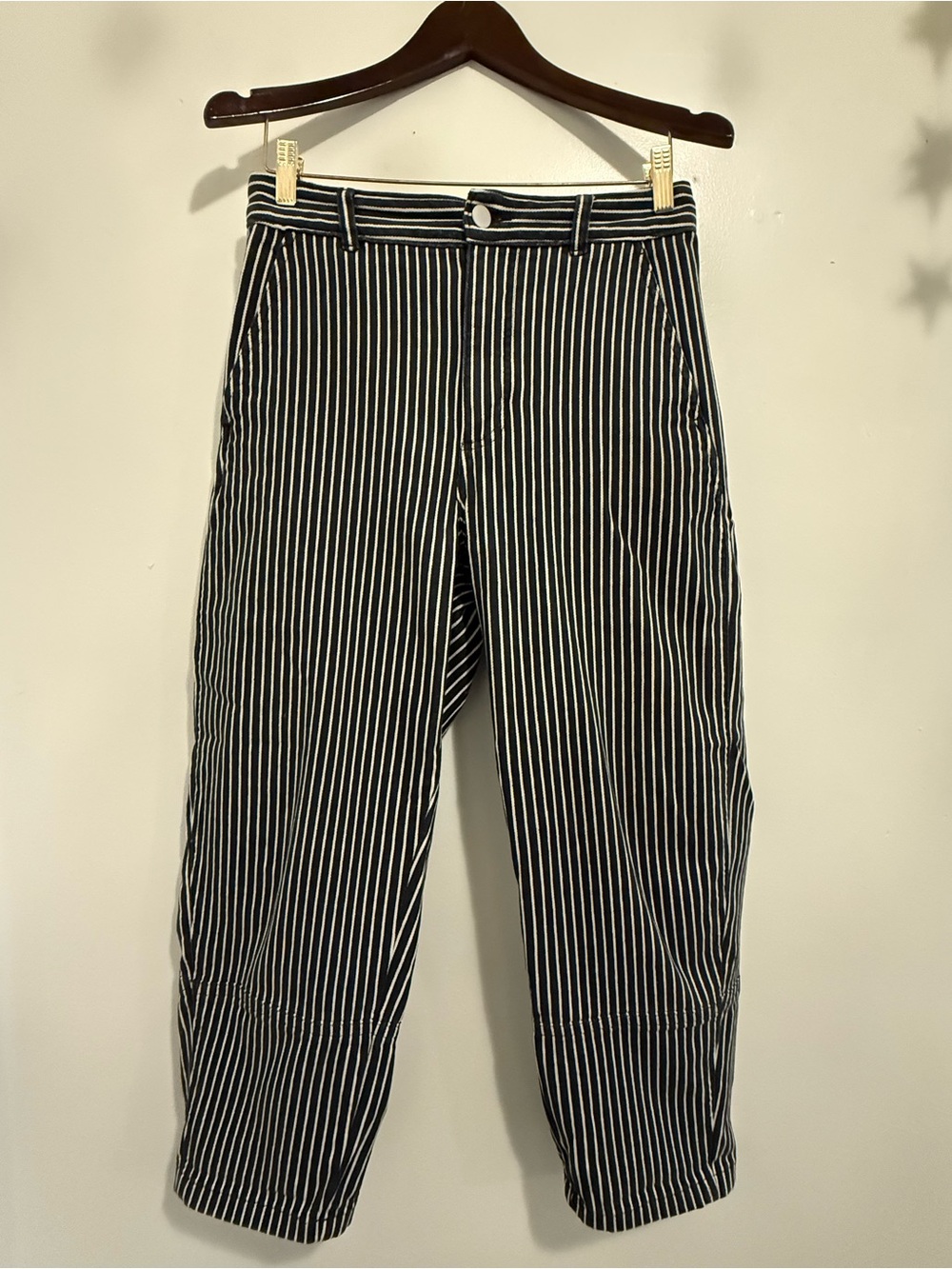 Everlane Striped Utility Barrel Pants